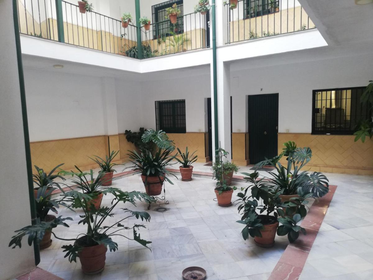 塞维利亚El Alcazar De Ana公寓 外观 照片